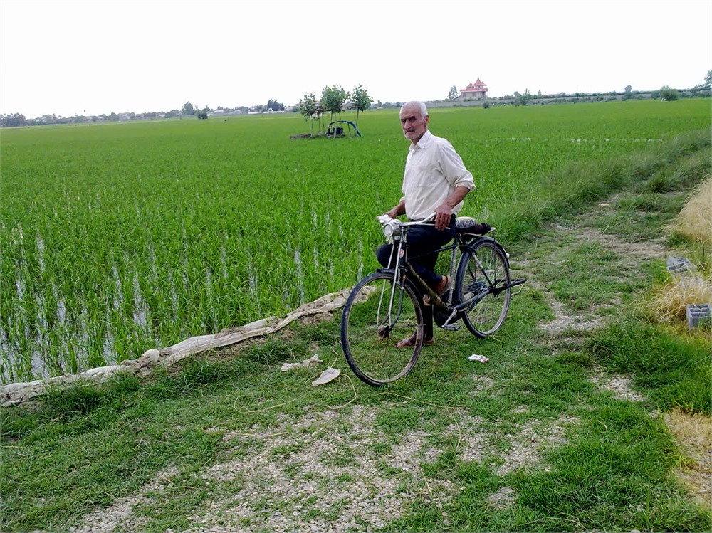 عکس رستمعلی هدایت پور