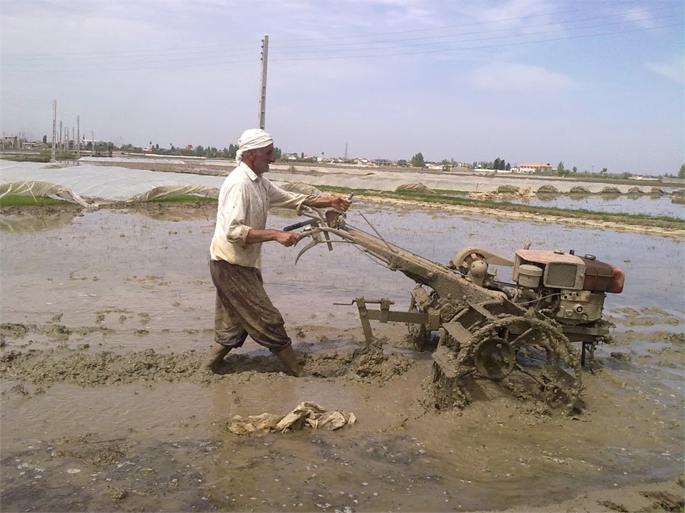 عکس رستمعلی هدایت پور