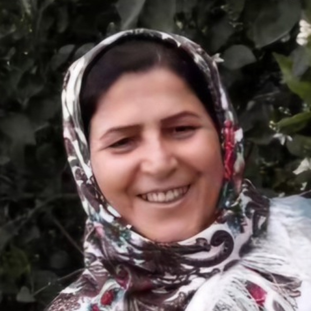پروین حسین زاده