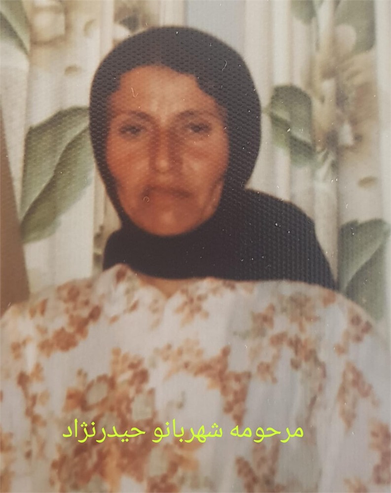 عکس شهربانو حیدر نژاد